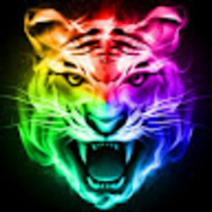 Meet your Posher, Shane